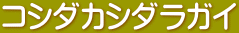 コシダカシダラガイ